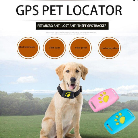 Image of Coleira Rastreadora GPS Para Cães e Gatos Funcional | À Prova D' Água